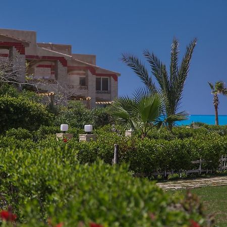 אל עלמיין Villas Petro Beach מראה חיצוני תמונה
