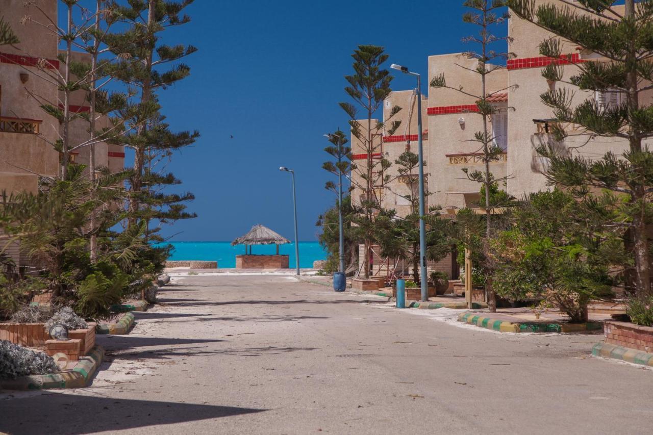 אל עלמיין Villas Petro Beach מראה חיצוני תמונה