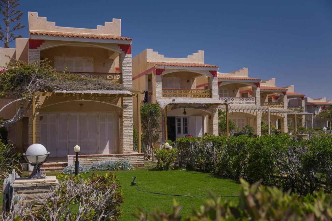 אל עלמיין Villas Petro Beach מראה חיצוני תמונה