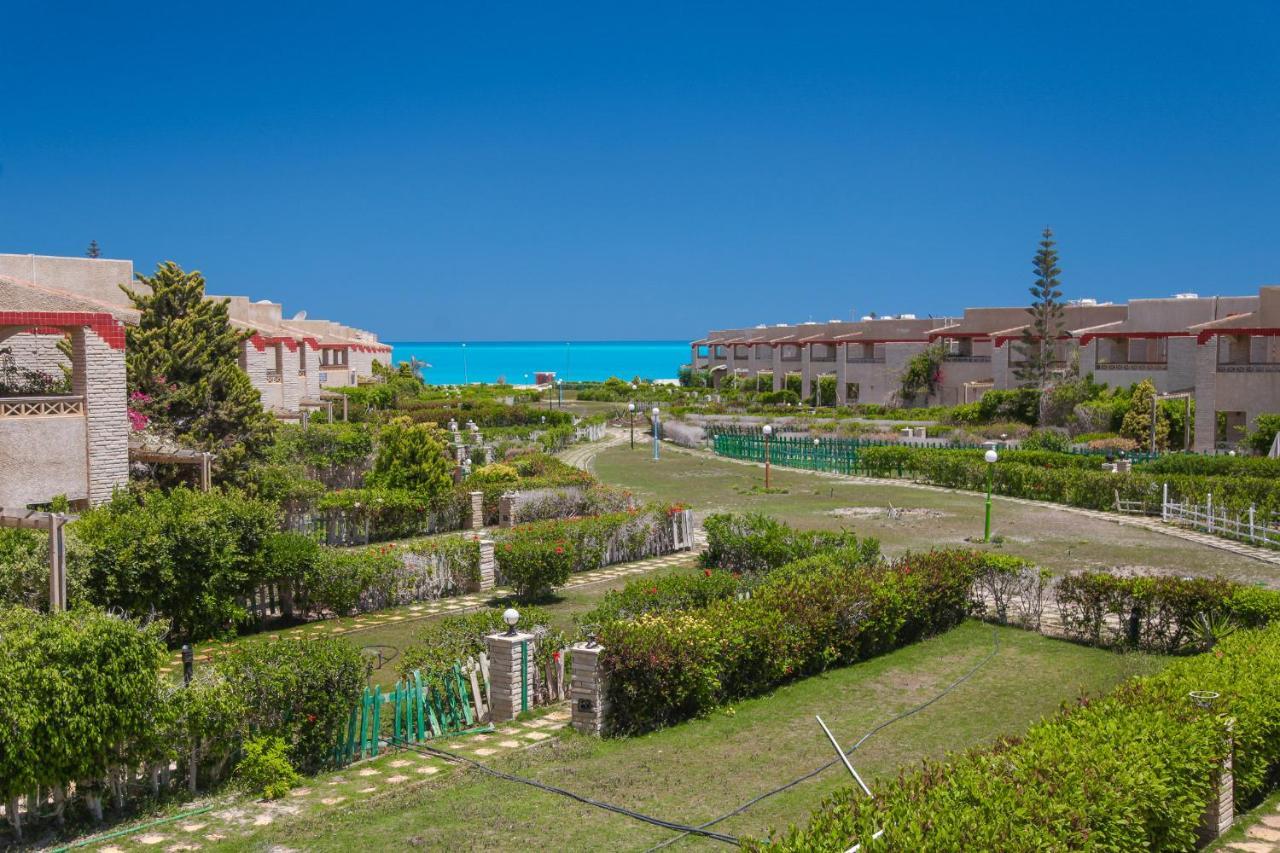 אל עלמיין Villas Petro Beach מראה חיצוני תמונה