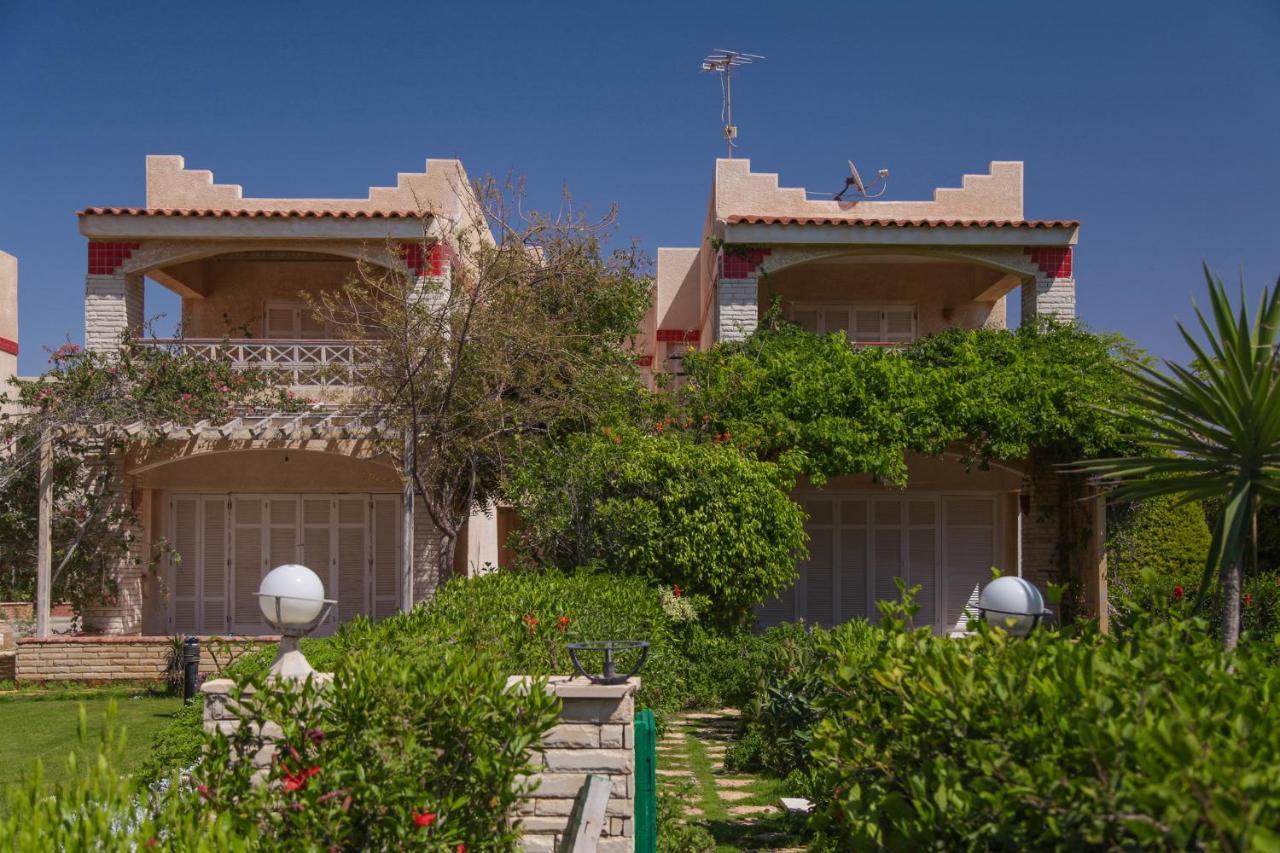אל עלמיין Villas Petro Beach מראה חיצוני תמונה