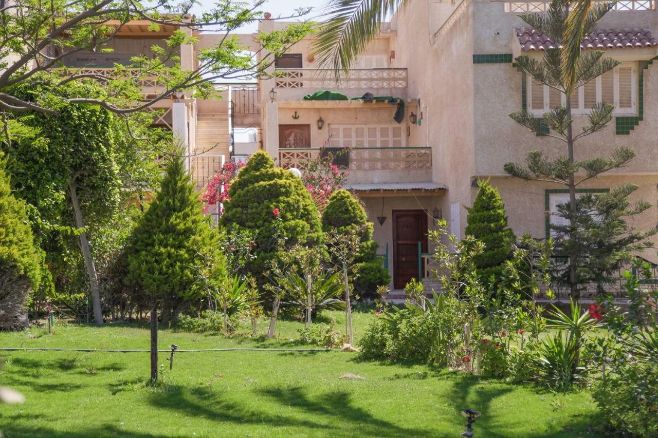 אל עלמיין Villas Petro Beach מראה חיצוני תמונה
