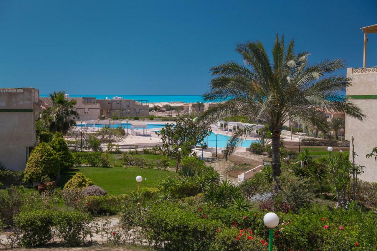 אל עלמיין Villas Petro Beach מראה חיצוני תמונה