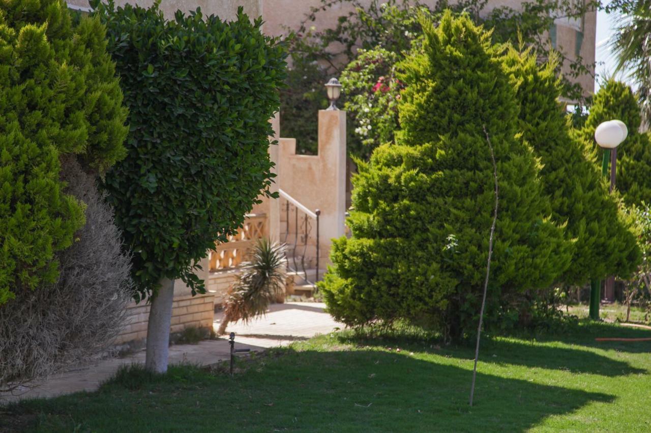 אל עלמיין Villas Petro Beach מראה חיצוני תמונה
