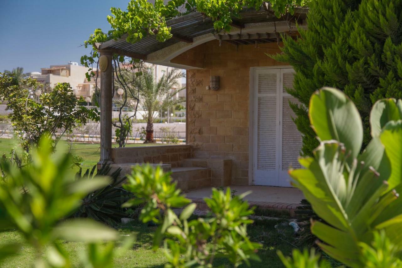 אל עלמיין Villas Petro Beach מראה חיצוני תמונה