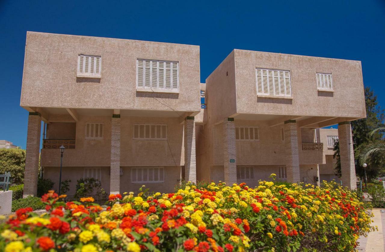 אל עלמיין Villas Petro Beach מראה חיצוני תמונה