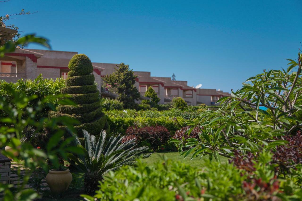 אל עלמיין Villas Petro Beach מראה חיצוני תמונה